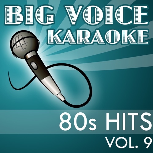 THE KORGIS - Everybody\'s Gotta Learn Sometime