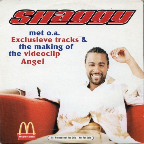 SHAGGY - It Wasn\'t Me