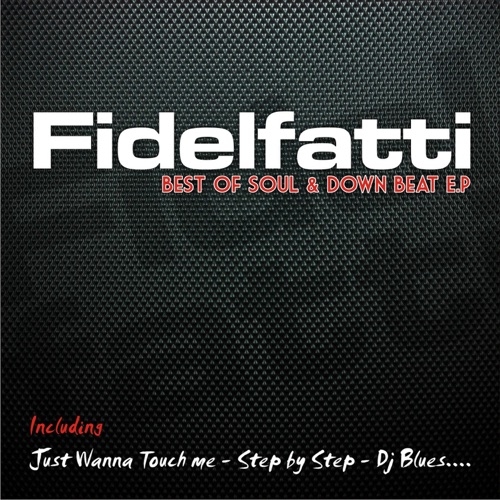 FIDELFATTI FEAT. RONNETTE - Just Wanna Touch Me