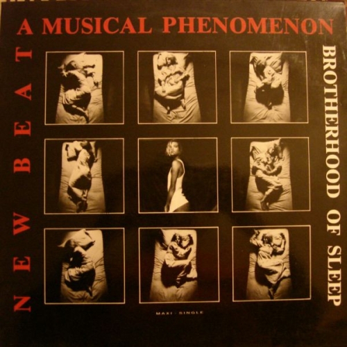 THE BROTHERHOOD OF SLEEP - New Beat a Musical Phenomenon