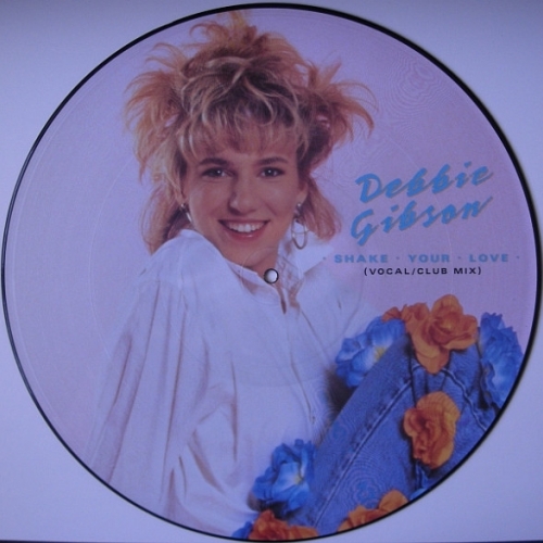 DEBBIE GIBSON - Shake Your Love